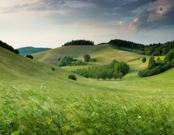 Amazon Edge | Terms & Conditions